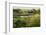 Wicken Fen Landscape, Cambridgeshire, UK, June 2011-Terry Whittaker-Framed Photographic Print