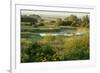 Wicken Fen Landscape, Cambridgeshire, UK, June 2011-Terry Whittaker-Framed Photographic Print