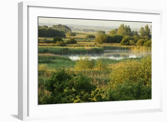 Wicken Fen Landscape, Cambridgeshire, UK, June 2011-Terry Whittaker-Framed Photographic Print