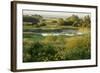 Wicken Fen Landscape, Cambridgeshire, UK, June 2011-Terry Whittaker-Framed Photographic Print