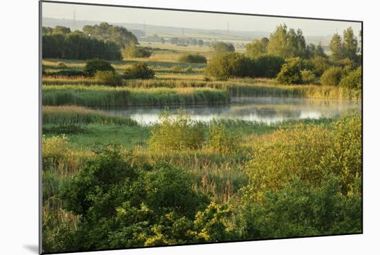 Wicken Fen Landscape, Cambridgeshire, UK, June 2011-Terry Whittaker-Mounted Photographic Print