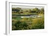 Wicken Fen Landscape, Cambridgeshire, UK, June 2011-Terry Whittaker-Framed Photographic Print