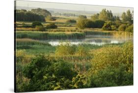 Wicken Fen Landscape, Cambridgeshire, UK, June 2011-Terry Whittaker-Stretched Canvas