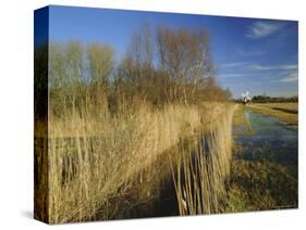 Wicken Fen, Wicken, Near Ely, Cambridgeshire, England, UK-Lee Frost-Stretched Canvas