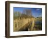 Wicken Fen, Wicken, Near Ely, Cambridgeshire, England, UK-Lee Frost-Framed Photographic Print