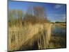 Wicken Fen, Wicken, Near Ely, Cambridgeshire, England, UK-Lee Frost-Mounted Photographic Print