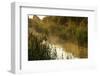 Wicken Lode (Waterway), Wicken Fen, Cambridgeshire, UK, June 2011-Terry Whittaker-Framed Photographic Print