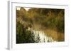Wicken Lode (Waterway), Wicken Fen, Cambridgeshire, UK, June 2011-Terry Whittaker-Framed Photographic Print
