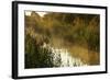 Wicken Lode (Waterway), Wicken Fen, Cambridgeshire, UK, June 2011-Terry Whittaker-Framed Photographic Print