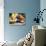 Wicker Basket with Croissants and Breads, Clos Des Iles, Le Brusc, Var, Cote d'Azur, France-Per Karlsson-Photographic Print displayed on a wall