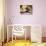 Wicker Basket with Croissants and Breads, Clos Des Iles, Le Brusc, Var, Cote d'Azur, France-Per Karlsson-Photographic Print displayed on a wall