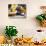 Wicker Basket with Croissants and Breads, Clos Des Iles, Le Brusc, Var, Cote d'Azur, France-Per Karlsson-Photographic Print displayed on a wall