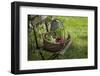Wicker Basket with Plums, Salad, Beans-Andrea Haase-Framed Photographic Print