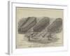 Wicker Coffins Exhibited at Stafford House-null-Framed Giclee Print