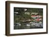 Wickhams Marina in Road Town-Richard Cummins-Framed Photographic Print