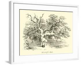 Wickliff's Oak-null-Framed Giclee Print