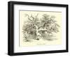 Wickliff's Oak-null-Framed Giclee Print