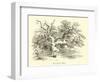 Wickliff's Oak-null-Framed Giclee Print