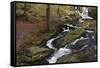 Wicklow Mountains, County Wicklow, Leinster, Republic of Ireland, Europe-Carsten Krieger-Framed Stretched Canvas