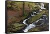 Wicklow Mountains, County Wicklow, Leinster, Republic of Ireland, Europe-Carsten Krieger-Framed Stretched Canvas