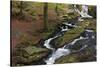 Wicklow Mountains, County Wicklow, Leinster, Republic of Ireland, Europe-Carsten Krieger-Stretched Canvas