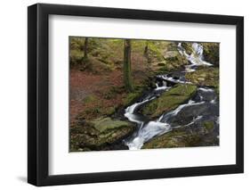 Wicklow Mountains, County Wicklow, Leinster, Republic of Ireland, Europe-Carsten Krieger-Framed Photographic Print