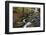 Wicklow Mountains, County Wicklow, Leinster, Republic of Ireland, Europe-Carsten Krieger-Framed Photographic Print