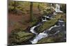 Wicklow Mountains, County Wicklow, Leinster, Republic of Ireland, Europe-Carsten Krieger-Mounted Photographic Print