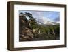 Wide angle landscape featuring Monte Fitz Roy in the background and tree in the foreground, Patagon-Fernando Carniel Machado-Framed Photographic Print