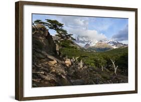 Wide angle landscape featuring Monte Fitz Roy in the background and tree in the foreground, Patagon-Fernando Carniel Machado-Framed Photographic Print