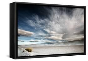 Wide Angle of Skies in Desert in USA-Jody Miller-Framed Stretched Canvas