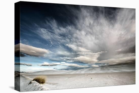 Wide Angle of Skies in Desert in USA-Jody Miller-Stretched Canvas