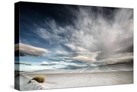 Wide Angle of Skies in Desert in USA-Jody Miller-Stretched Canvas