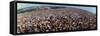 Wide Angle Overall of Huge Crowd Facing the Distant Stage, During the Woodstock Music and Art Fair-John Dominis-Framed Stretched Canvas