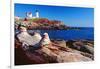 Wide Angle View of The Cape Neddick Lighthouse.-George Oze-Framed Photographic Print