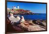 Wide Angle View of The Cape Neddick Lighthouse.-George Oze-Framed Photographic Print