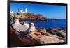 Wide Angle View of The Cape Neddick Lighthouse.-George Oze-Framed Photographic Print