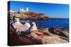 Wide Angle View of The Cape Neddick Lighthouse.-George Oze-Stretched Canvas