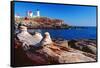 Wide Angle View of The Cape Neddick Lighthouse.-George Oze-Framed Stretched Canvas