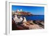 Wide Angle View of The Cape Neddick Lighthouse.-George Oze-Framed Photographic Print