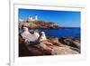 Wide Angle View of The Cape Neddick Lighthouse.-George Oze-Framed Photographic Print