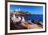 Wide Angle View of The Cape Neddick Lighthouse.-George Oze-Framed Photographic Print