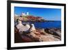 Wide Angle View of The Cape Neddick Lighthouse.-George Oze-Framed Photographic Print