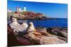 Wide Angle View of The Cape Neddick Lighthouse.-George Oze-Mounted Photographic Print