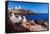 Wide Angle View of The Cape Neddick Lighthouse.-George Oze-Framed Stretched Canvas