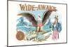 Wide-Awake, Eagle, Uncle Sam-null-Mounted Art Print