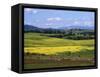 Wide Open Rolling Landscape, High Country, Australia-Richard Nebesky-Framed Stretched Canvas