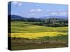 Wide Open Rolling Landscape, High Country, Australia-Richard Nebesky-Stretched Canvas