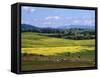 Wide Open Rolling Landscape, High Country, Australia-Richard Nebesky-Framed Stretched Canvas