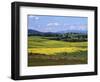 Wide Open Rolling Landscape, High Country, Australia-Richard Nebesky-Framed Photographic Print